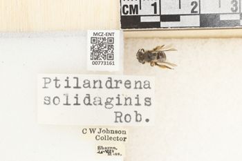 Media type: image;   Entomology 773161 Aspect: Labels